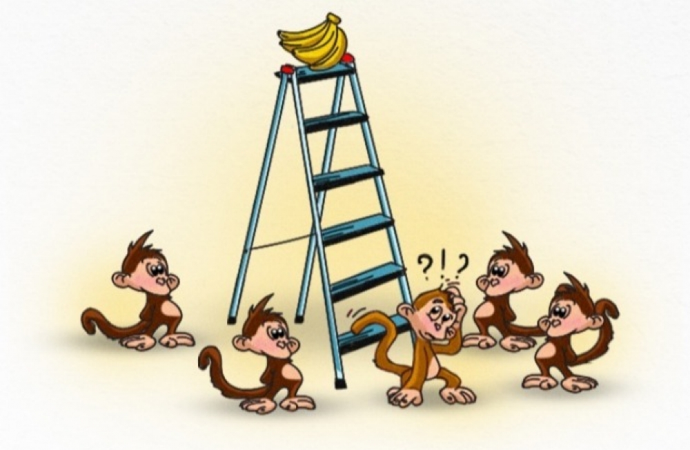 Esta historia ilustrada de monos te ayudará a entender un poco más nuestra sociedad
