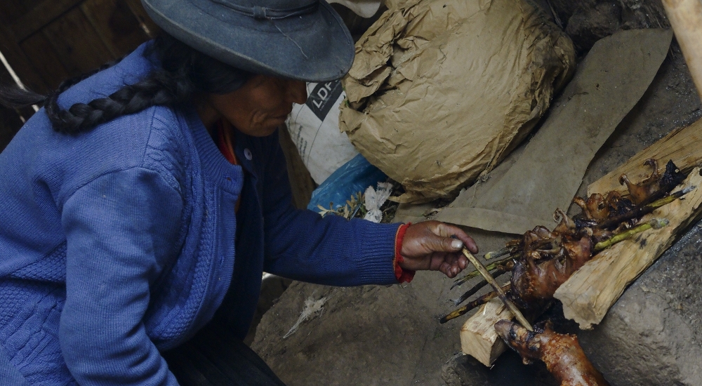 ¿Por qué es necesario mejorar las cocinas en zonas rurales del país?